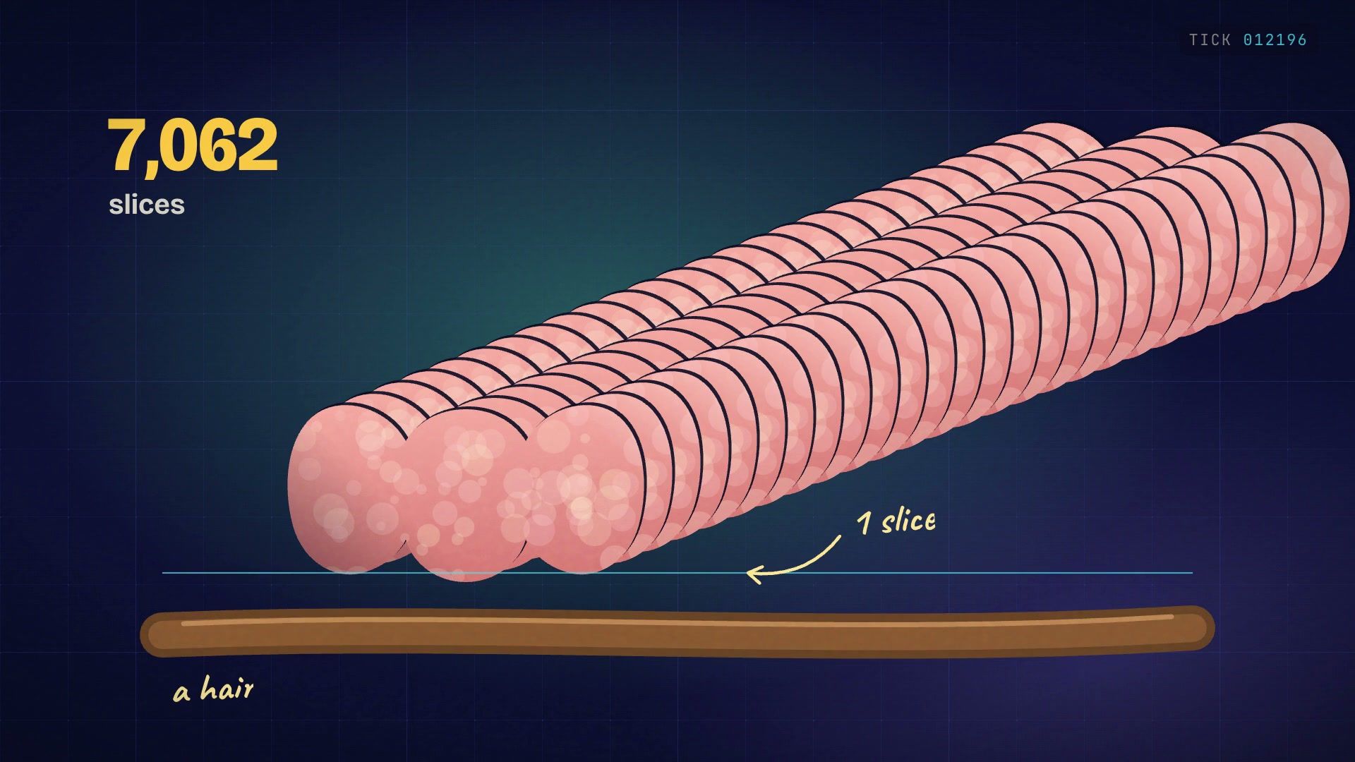 A long row of pink brain slices beside a hair for scale, labelled 7,062 slices.