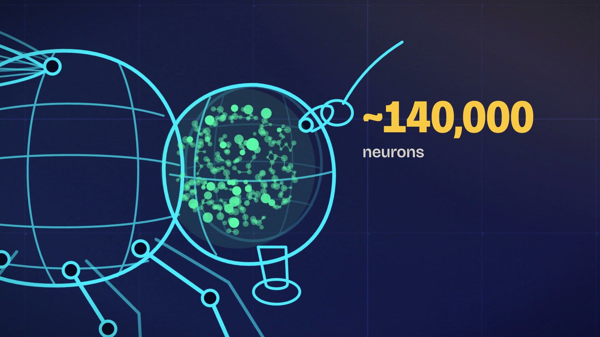 A cyan wireframe fly with a glowing green brain and a counter reading about 140,000 neurons.